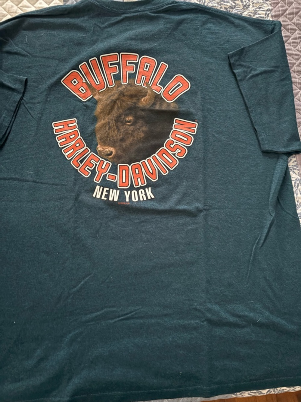 Harley-Davidson Teal Tee with Red and Cream Buffalo Graphic